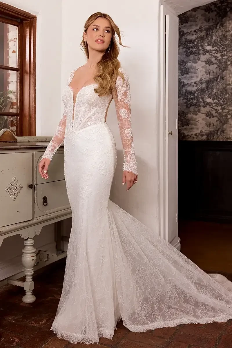 Fall Wedding Dresses with Sleeves, Lace and Statement Details Image