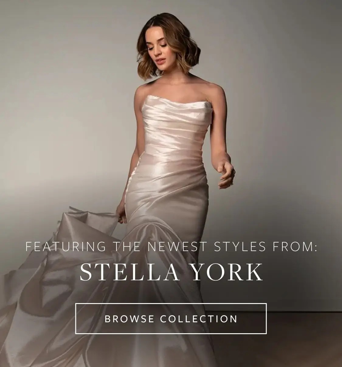 Stella York fall 2025