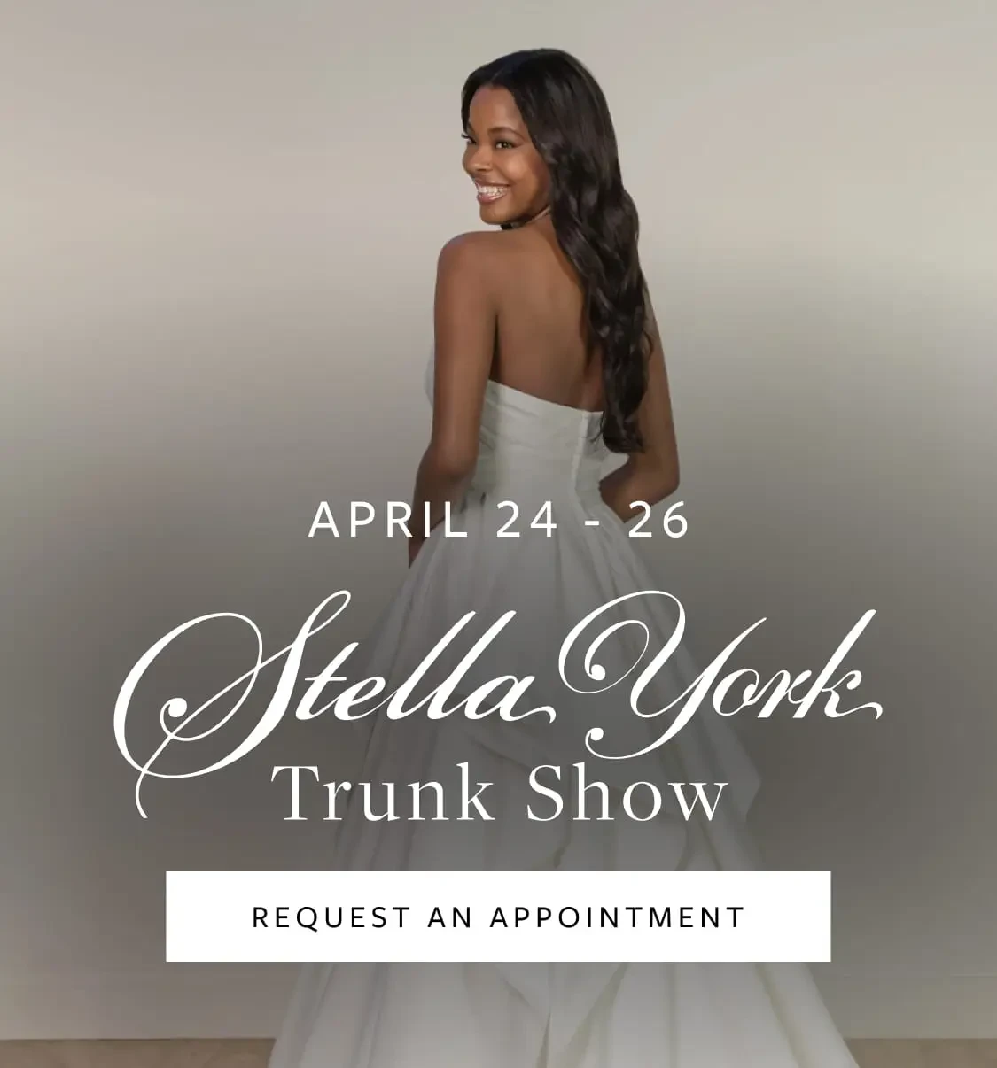stella york trunk show banner